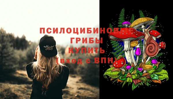 прущая мука Армянск
