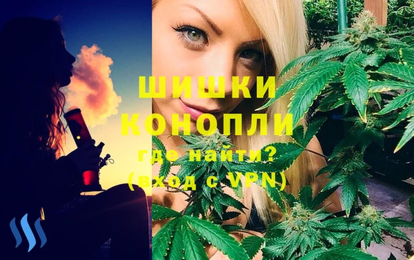 спиды Аркадак