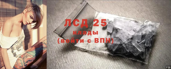 спиды Аркадак